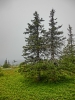 Файл=CIMG4626.JPG
Объём=208KB
Размеры=768x1024
Дата=Дек 16, 2014 CIMG4626.JPG