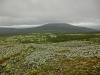 Файл=CIMG4650.JPG
Объём=178KB
Размеры=1024x768
Дата=Дек 16, 2014 CIMG4650.JPG