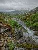 Файл=CIMG4659.JPG
Объём=203KB
Размеры=768x1024
Дата=Дек 16, 2014 CIMG4659.JPG