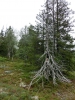 Файл=CIMG4741.JPG
Объём=218KB
Размеры=768x1024
Дата=Дек 16, 2014 CIMG4741.JPG