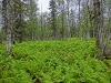 Файл=CIMG4750.JPG
Объём=319KB
Размеры=1024x768
Дата=Дек 16, 2014 CIMG4750.JPG
