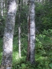 Файл=CIMG4772.JPG
Объём=234KB
Размеры=768x1024
Дата=Дек 16, 2014 CIMG4772.JPG