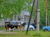 CIMG4958.JPG