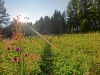 Файл=CIMG4979.JPG
Объём=254KB
Размеры=1024x768
Дата=Янв 16, 2015 CIMG4979.JPG