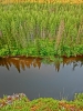 Файл=CIMG5034.JPG
Объём=211KB
Размеры=768x1024
Дата=Янв 16, 2015 CIMG5034.JPG