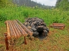 Файл=CIMG5068.JPG
Объём=306KB
Размеры=1024x768
Дата=Янв 16, 2015 CIMG5068.JPG