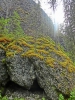 Файл=CIMG5104.JPG
Объём=285KB
Размеры=768x1024
Дата=Янв 16, 2015 CIMG5104.JPG