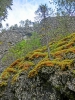 Файл=CIMG5168.JPG
Объём=294KB
Размеры=768x1024
Дата=Янв 16, 2015 CIMG5168.JPG