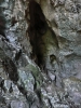 Файл=CIMG5174.JPG
Объём=174KB
Размеры=768x1024
Дата=Янв 16, 2015 CIMG5174.JPG