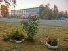 CIMG5249.JPG