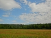 Файл=CIMG5305.JPG
Объём=90KB
Размеры=1024x768
Дата=Фев 07, 2015 CIMG5305.JPG