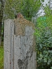 Файл=CIMG5369.JPG
Объём=497KB
Размеры=768x1024
Дата=Май 14, 2015 CIMG5369.JPG