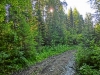 Файл=CIMG5401.JPG
Объём=509KB
Размеры=1024x768
Дата=Май 14, 2015 CIMG5401.JPG