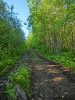 Файл=CIMG5414.JPG
Объём=532KB
Размеры=768x1024
Дата=Май 14, 2015 CIMG5414.JPG