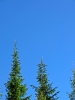 Файл=CIMG5427.JPG
Объём=179KB
Размеры=768x1024
Дата=Май 14, 2015 CIMG5427.JPG