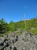 Файл=CIMG5449.JPG
Объём=374KB
Размеры=768x1024
Дата=Май 14, 2015 CIMG5449.JPG