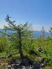 Файл=CIMG5458.JPG
Объём=370KB
Размеры=768x1024
Дата=Май 14, 2015 CIMG5458.JPG