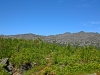 CIMG5467.JPG