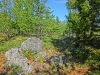 Файл=CIMG5506.JPG
Объём=573KB
Размеры=1024x768
Дата=Май 14, 2015 CIMG5506.JPG