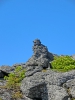 CIMG5554.JPG