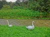 CIMG5782.JPG
