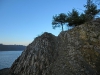 Файл=CIMG6075.JPG
Объём=139KB
Размеры=1024x768
Дата=Дек 11, 2014 CIMG6075.JPG