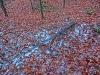 Файл=CIMG6115.JPG
Объём=316KB
Размеры=1024x768
Дата=Дек 11, 2014 CIMG6115.JPG