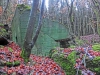 Файл=CIMG6131.JPG
Объём=256KB
Размеры=1024x768
Дата=Дек 11, 2014 CIMG6131.JPG