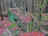 Файл=CIMG6132.JPG
Объём=295KB
Размеры=1024x768
Дата=Дек 11, 2014 CIMG6132.JPG