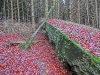 Файл=CIMG6133.JPG
Объём=292KB
Размеры=1024x768
Дата=Дек 11, 2014 CIMG6133.JPG