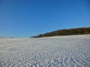 Файл=CIMG6202.JPG
Объём=1363KB
Размеры=2560x1920
Дата=Дек 30, 2014 CIMG6202.JPG