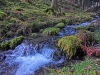 Файл=CIMG6340.JPG
Объём=3013KB
Размеры=2560x1920
Дата=Апр 10, 2015 CIMG6340.JPG