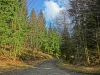 Файл=CIMG6344.JPG
Объём=3023KB
Размеры=2560x1920
Дата=Апр 10, 2015 CIMG6344.JPG