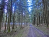 Файл=CIMG6364.JPG
Объём=2492KB
Размеры=2560x1920
Дата=Апр 10, 2015 CIMG6364.JPG