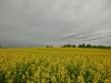 Файл=CIMG6400.JPG
Объём=1659KB
Размеры=2560x1920
Дата=Май 03, 2015 CIMG6400.JPG