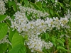 Файл=CIMG6412.JPG
Объём=1565KB
Размеры=2560x1920
Дата=Май 03, 2015 CIMG6412.JPG