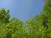 Файл=CIMG6438.JPG
Объём=2268KB
Размеры=2560x1920
Дата=Май 23, 2015 CIMG6438.JPG