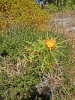 Файл=CIMG6949.JPG
Объём=272KB
Размеры=768x1024
Дата=Июль 23, 2016 CIMG6949.JPG
