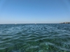 CIMG7287~0.JPG