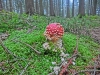 Файл=CIMG7922.JPG
Объём=2052KB
Размеры=2560x1920
Дата=Сент 27, 2015 CIMG7922.JPG