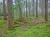 Файл=CIMG7923.JPG
Объём=2357KB
Размеры=2560x1920
Дата=Сент 27, 2015 CIMG7923.JPG