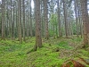 Файл=CIMG7924.JPG
Объём=2299KB
Размеры=2560x1920
Дата=Сент 27, 2015 CIMG7924.JPG