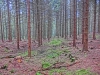 Файл=CIMG7932.JPG
Объём=2462KB
Размеры=2560x1920
Дата=Сент 27, 2015 CIMG7932.JPG