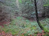 Файл=CIMG7951.JPG
Объём=3016KB
Размеры=2560x1920
Дата=Сент 27, 2015 CIMG7951.JPG