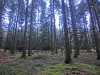 CIMG7984.JPG