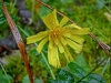 CIMG8042.JPG