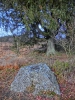 Файл=CIMG8114.JPG
Объём=539KB
Размеры=768x1024
Дата=Дек 01, 2015 CIMG8114.JPG