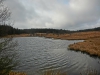 Файл=CIMG8117.JPG
Объём=244KB
Размеры=1024x768
Дата=Дек 01, 2015 CIMG8117.JPG