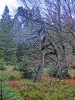 Файл=CIMG8130.JPG
Объём=558KB
Размеры=768x1024
Дата=Дек 01, 2015 CIMG8130.JPG
