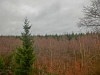 Файл=CIMG8148.JPG
Объём=305KB
Размеры=1024x768
Дата=Дек 01, 2015 CIMG8148.JPG